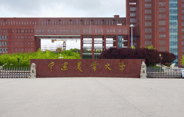 中國農業大學新圖書館建設配套工程