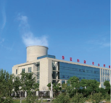 華電内蒙古能源有限公司項目